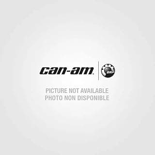 Can-Am Heated Grips & Thumb Throttle Combo G2, G2L, G2S (2020+ with 850 Engine, 2019+ 1000R Engine, T Cat Model) - 715008739