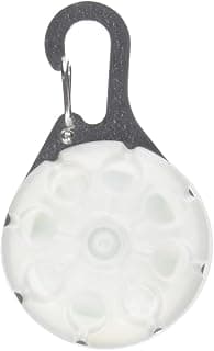 Nite Ize SGS-07S-R6 Spotlit LED Carabiner Light