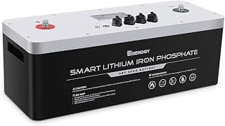 Renogy 48V 50Ah Smart LiFePO4 Lithium Iron Phosphate Battery Deep Cycle Battery, Built-in BMS, 4500+ Life Cycles, for RV, Marine, Trailer, Self-Heating