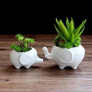 PinShang Succulent Pots, Mini Ceramic Flower Planter Pot,Ceramic Flower Pot Elephant Shape Home Office Decoration White Big 1PC