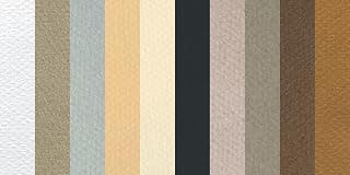 Canson Mi-Teintes 19 x 25 Inches Pastel Sheet, 10 Pack, Muted (C707-3077)