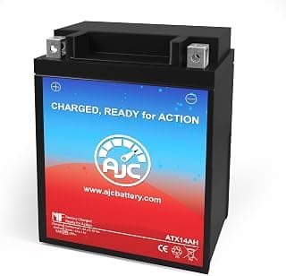Polaris 300 2X4 300CC ATV Replacement Battery (1994-1995) - This is an AJC Brand Replacement