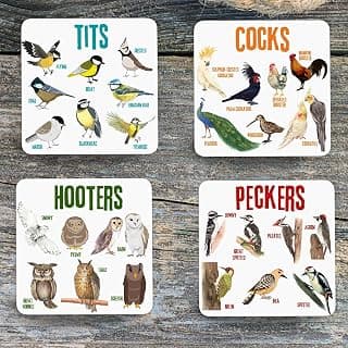 Funny Bird Pun Coasters, 4/8PCS Wooden Novelty Autumn Coasters, Hilarious Tea Coffee Coaster for Women,Tabletop Decoration Pad