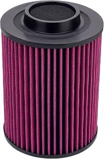 Road Passion 1240482 1240434 GI-125499 Air Filter Replacement For Polaris ATV RZR 800 EFI 2008-2013/ ATV RZR 800 EPS 2014/ ATV RZR S 2012/ ATV RZR S 800 2014
